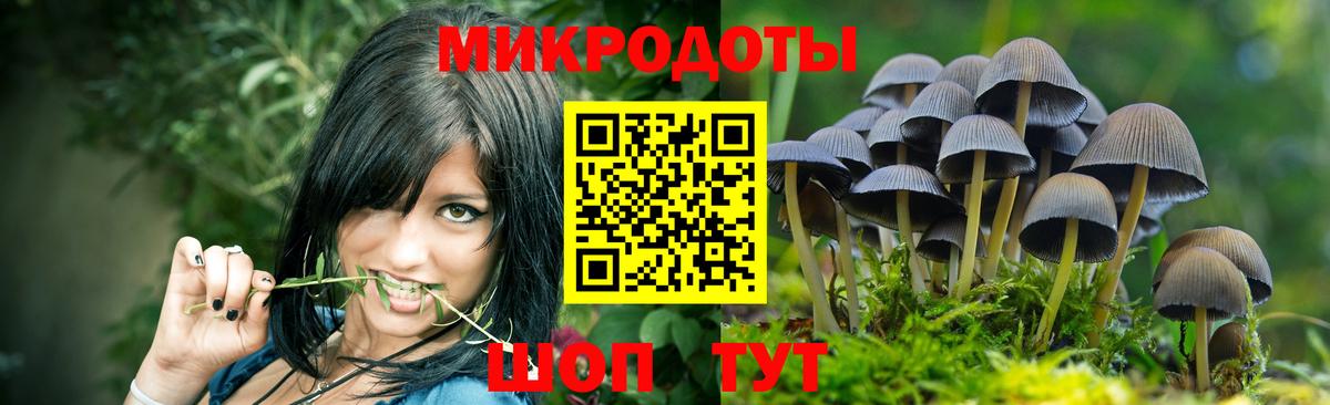 как найти закладки  Вход с VPN  Мурманск  Галлюциногенные грибы GOLDEN TEACHER 